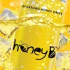 Honey B Sparkling Honey Drink – 250ml x 6