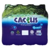 Cactus Mineral Water Pack