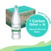 Spritzer Natural Mineral Water Pack