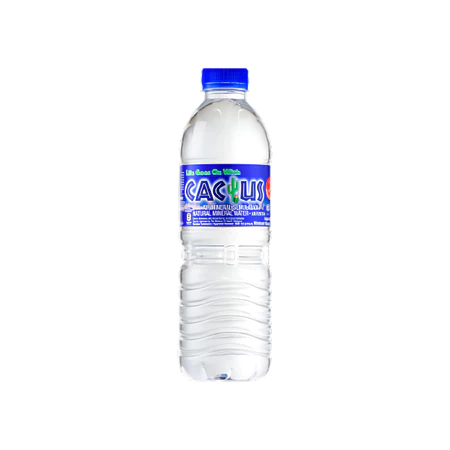 my-11134207-820l6-mhabi89998g8cb@resize_w450_nl.webp Cactus Mineral Water 500ml Carton
