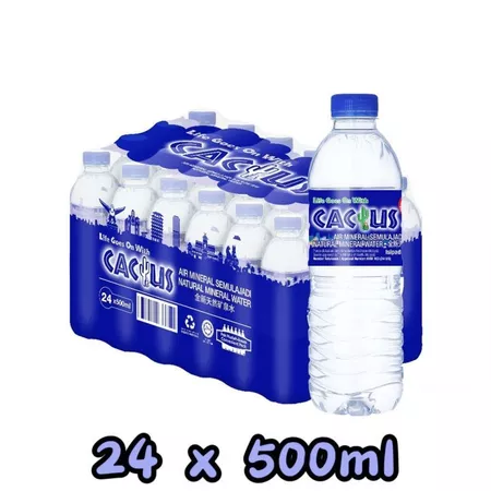 Cactus Mineral Water 500ml (24 Pack)